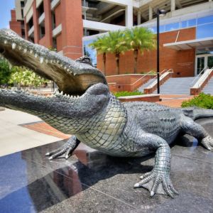 Bull Gator Statue at Ben Hill Griffin Stadium at UF