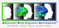 UF ABCD Study: Adolescent Brain Cognitive Development